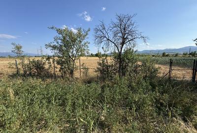 Spațiu comercial, în Păntășești - 4