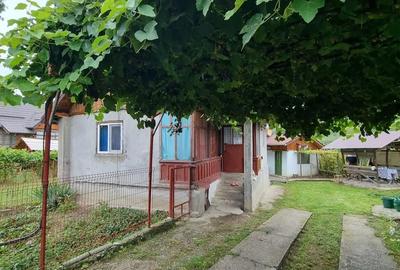 Casă cu 2 camere cu Teren 2400 Mp în Sboghițești - 2