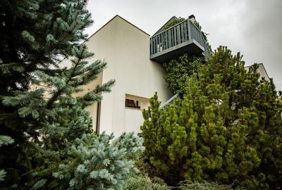 Vila deosebita Braytim - 30