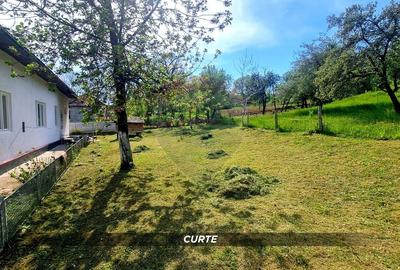 Casă individuală cu 3 camere cu Teren 3000 Mp în Cernești - 4