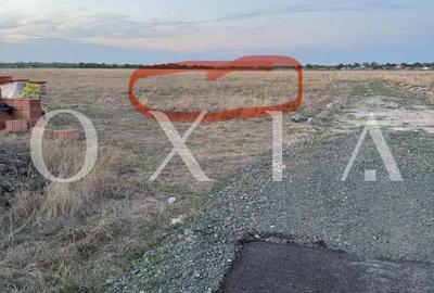 OX674 Teren intravilan + Proiect, in Covaci - 5