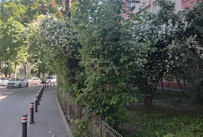 Apartament cu 4 camere decomandat, mobilat în Rahova - 2