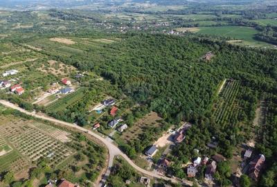 OPORTUNITATE PENTRU DEZVOLTATORI Teren de vanzare - Satu Nou de Jos - 10