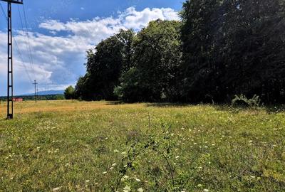 Comision 0%, intravilan 1000 mp, Sambata de Sus, Brasov - 3