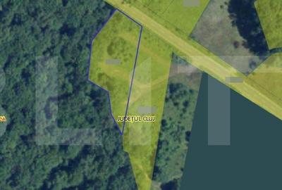 Teren intravilan 5200 mp in Faget UTR - Aapp - zona de agrem - 3