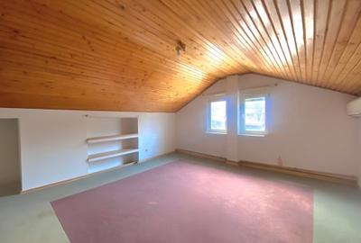 Lovely house with private pool in Herastrau-In complete renovation! - 12