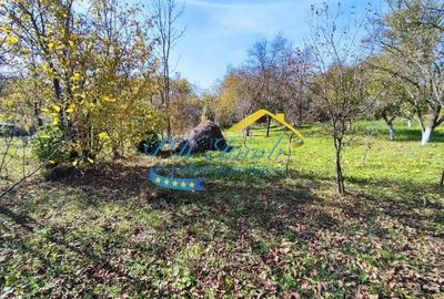 Teren intravilan de 774 mp, în Provița de Jos - 2