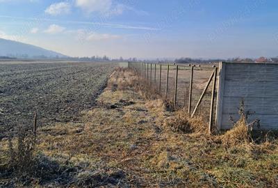 Teren de 8700 mp, în Livada (Iclod) - 8