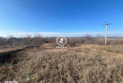 Teren de 1000 mp, în Popricani - 2