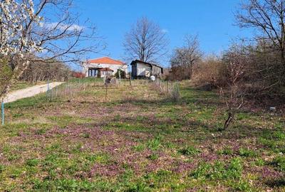 Spațiu comercial, în Spitalul Județean - 4