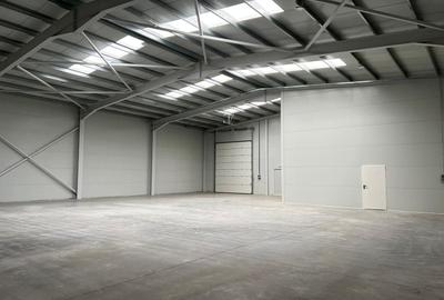 Spațiu industrial, de 595 mp, în Rudeni - 7