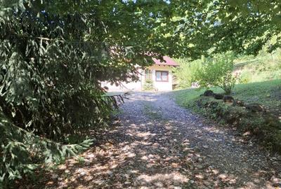 Casă cu 6 camere cu Teren 2267 Mp în Iedera de Sus - 17