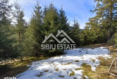 Teren de 2733 mp, în Șugag - 4