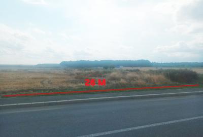 Teren Intravilan Constructii de 12.300 mp, Cu Deschidere la Sosea Asfaltata - 13