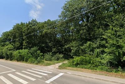 REV2004657 Casa moderna cu influente mediteraneene l Jandarmeriei - 31