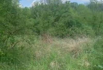 Teren Construcții intravilan de 500 mp, în Găneasa - 2