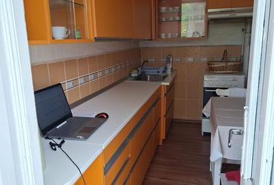 Casă cu 3 camere cu Teren 1056 Mp în Gheorghe Doja - 8
