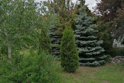 Casa si teren vanzare Stefanesti Arges( Golesti) sau schimb cu apartament situat in Bucure?ti - 5