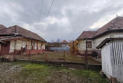Casa locuibila, cu doua corpuri de cladiri, utilita?i, 1200 mp teren - 1