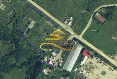 Teren pentru constructie hala indrustriala - Moinesti/Bacau - 5