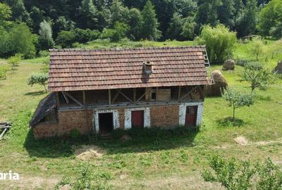 Teren de 6200 mp, în Cicănești - 1