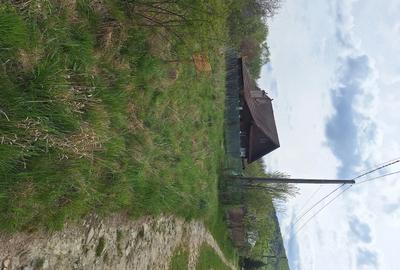 Teren de 800 mp, în Viștișoara - 2