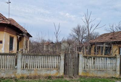 Spațiu comercial, în Goicea - 1