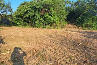 Casa cu anexe gospodaresti si teren aferent, 36 ari. - 3