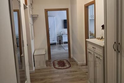 Apartament cu 2 camere decomandat, mobilat în Terezian - 9