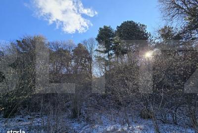 Teren de 4000 mp, în Făget - 2