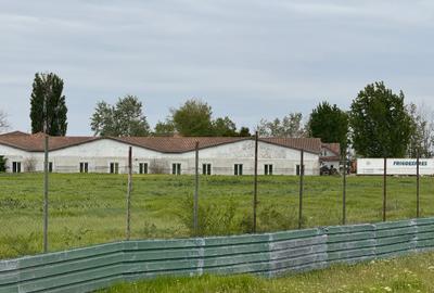 2,5 H Intravilan - Ingradit - utilitati dispobilile - pretabil dezvoltare - 11
