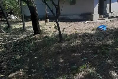 Casă cu 3 camere cu Teren 2640 Mp în Meri - 10