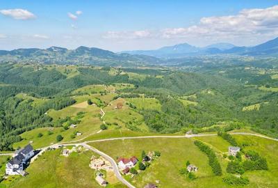 Teren de 13000 mp, în Șirnea - 11