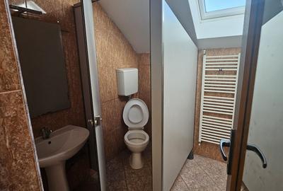 Proprietate speciala Dumbravita - casa individuala !! - 21