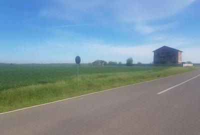 Teren intravilan arabil 55.400 m.p. Vasilati, Jud. Calarasi - 2