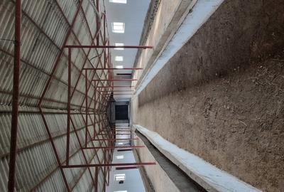 Hala Depozit de inchiriat - 3