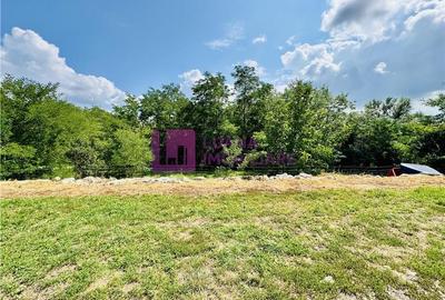 Teren Construcții intravilan de 609 mp, în Turnișor - 4