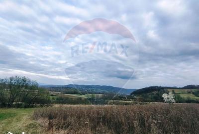 Teren de 5240 mp, în Copalnic - 10
