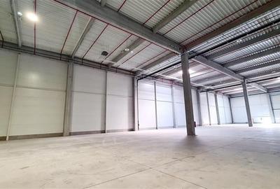 Spatiu industial 1700 mp , Timisoara exterior NORD - 5