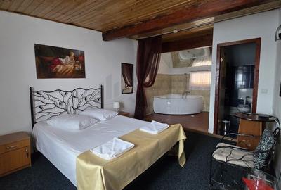 Hotel/Pensiune, de 743 mp, în Domnești - 15