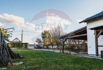 Casă cu 3 camere cu Teren 900 Mp în Horodnic - 11