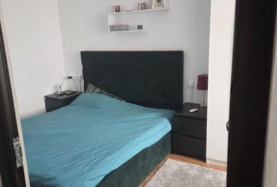 Apartament cu 2 camere semidecomandat în Craiovița Nouă - 14