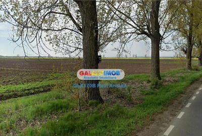 Teren la Drumul Judetean Dascalu Gagu 17800 mp intravilan - 2