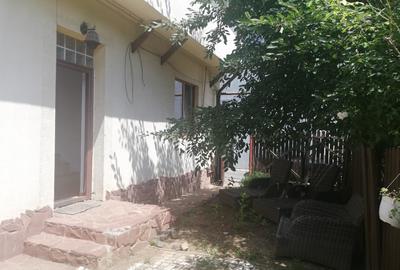 Piata Victoriei A I Cuza P+E birou locuinta - 1