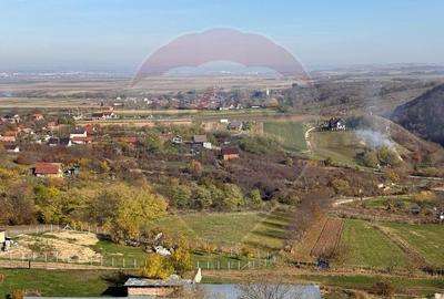 Teren extravilan de 3826 mp, în Moldovenești - 3