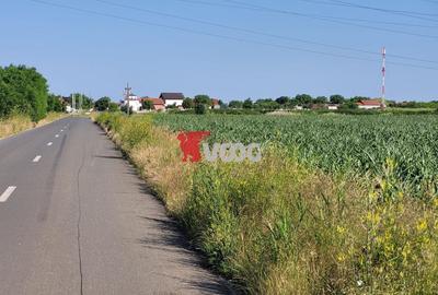 Teren agricol intravilan de 10000 mp, în Cerneteaz - 1