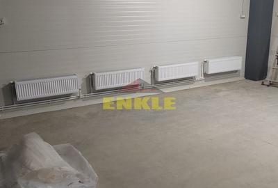 Spațiu industrial, de 250 mp, în Mănăstirea Doamnei - 4