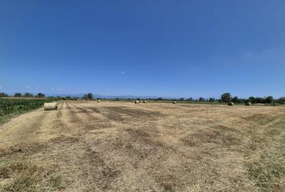 Teren in Dragu?e?ti, la 9 km distan?a de Tg. Jiu - 2