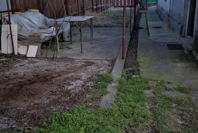 Coiciu - Casa + Teren Coiciu - Casa + Teren - 6