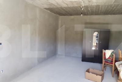 Casa individuala la gri, 160mp+garaj+magazie+ 3500mp teren intravilan, Paltinis - 7
